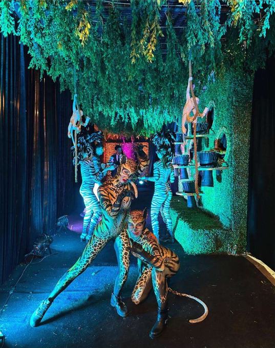 Performers in circus animal costume