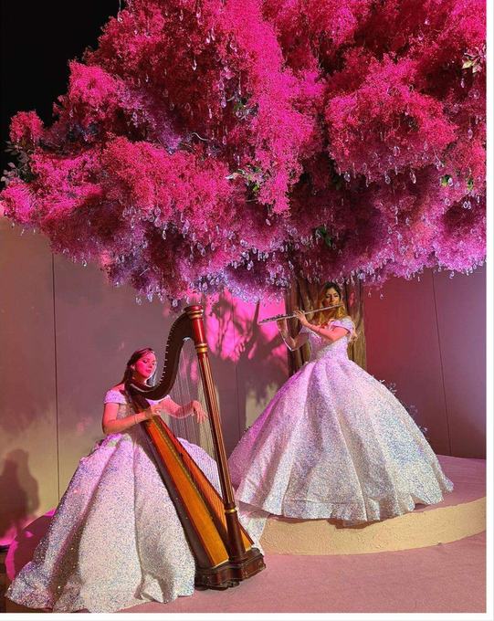 Harp and flute duo
